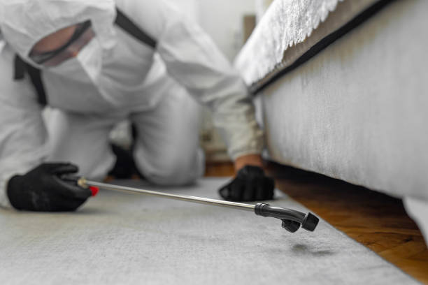 Professional Bed Bug Control technician working in Cascade, IA